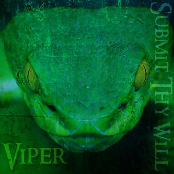 Cover art for Viper
